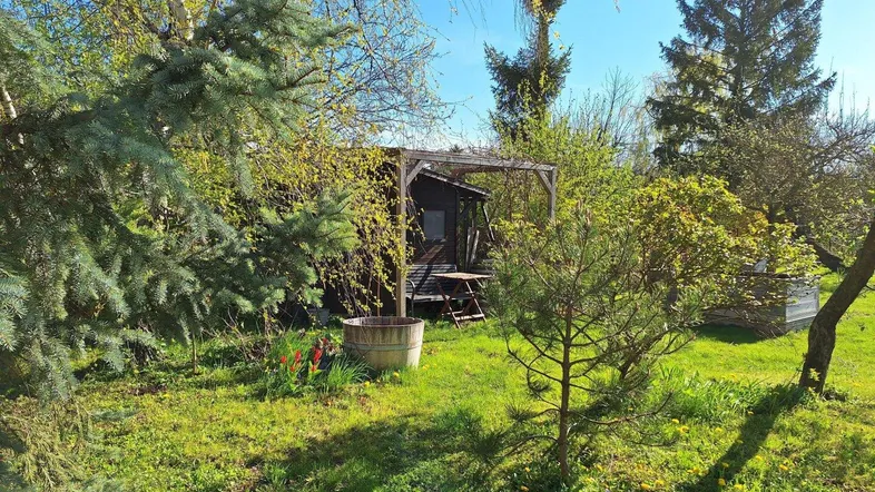 Gepflegter Gartenbereich mit Rasenfläche, Bäumen und einem kleinen Gartenhaus unter blauem Himmel.