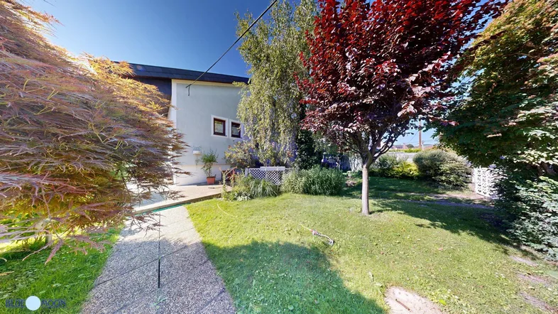 Gepflegter Gartenbereich mit Rasenfläche, verschiedenen Bäumen und einem Weg zum modernen Haus unter blauem Himmel.