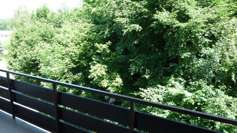 Blick vom Balkon ins Grüne mit üppigen Bäumen und einer ruhigen, natürlichen Umgebung.