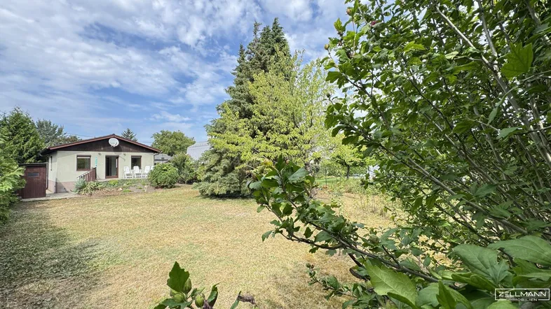 Großzügiger Gartenbereich mit Rasenfläche und Blick auf das Einfamilienhaus unter blauem Himmel.