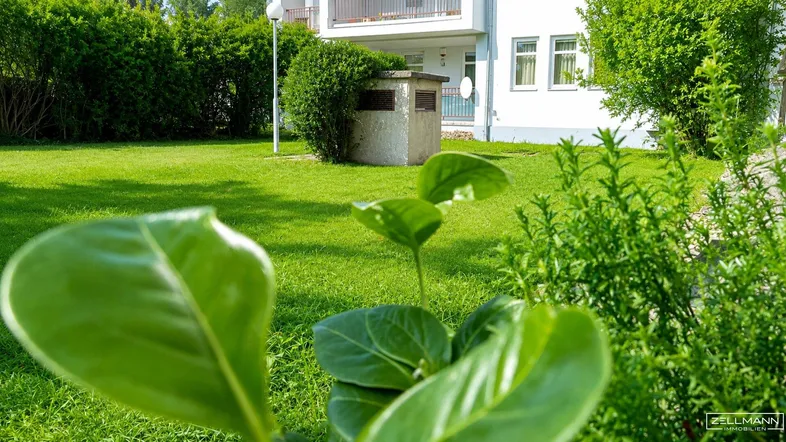 Grüner Gartenbereich mit gepflegtem Rasen und Sträuchern vor einem Wohngebäude.