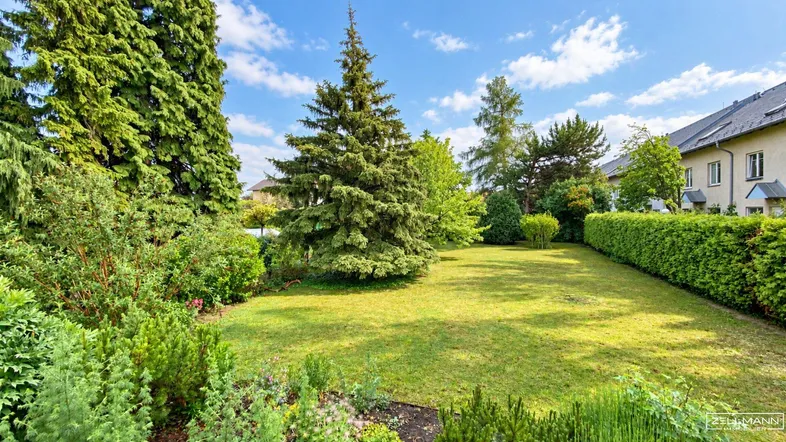 Gepflegter Garten mit weitläufiger Rasenfläche, hohen Bäumen und grünen Hecken, ideal zum Entspannen.