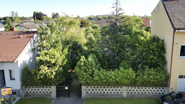 Blick auf den Eingangsbereich eines Hauses mit gepflegtem Vorgarten und Hecke, umgeben von viel Grün.