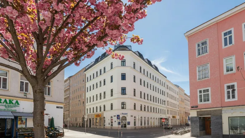 Historisches Gebäude an einer Straßenecke mit blühendem Baum und Geschäften im Erdgeschoss.