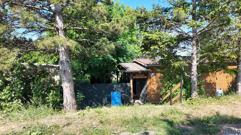 Kleines Holzhaus mit Eingangsbereich, umgeben von Bäumen und viel Grün.