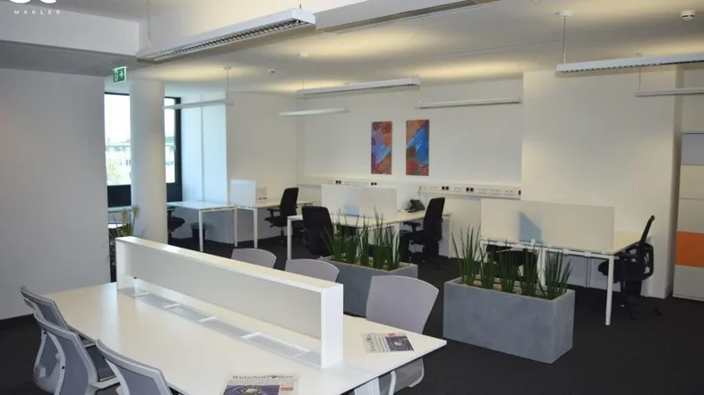 Moderner Großraumbüro mit mehreren Arbeitsplätzen, Teppichboden und Pflanzen als Raumteiler.