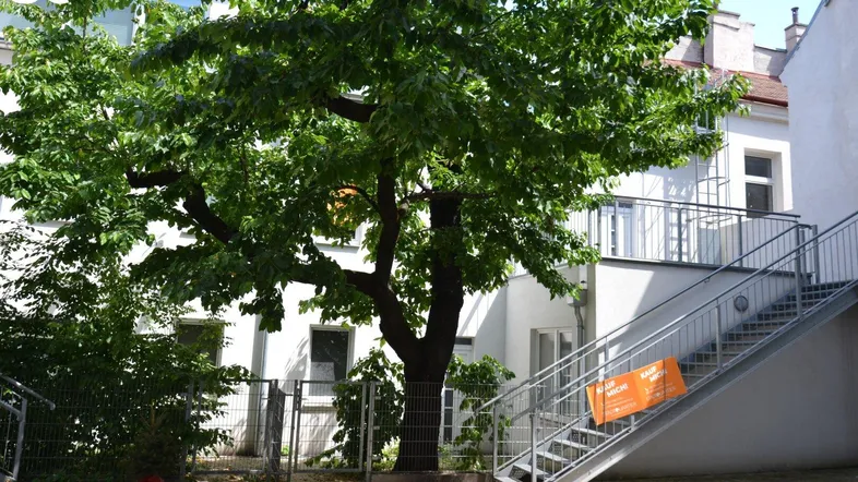 Außenansicht eines Gebäudes mit großem Baum und Außentreppe im Innenhof.
