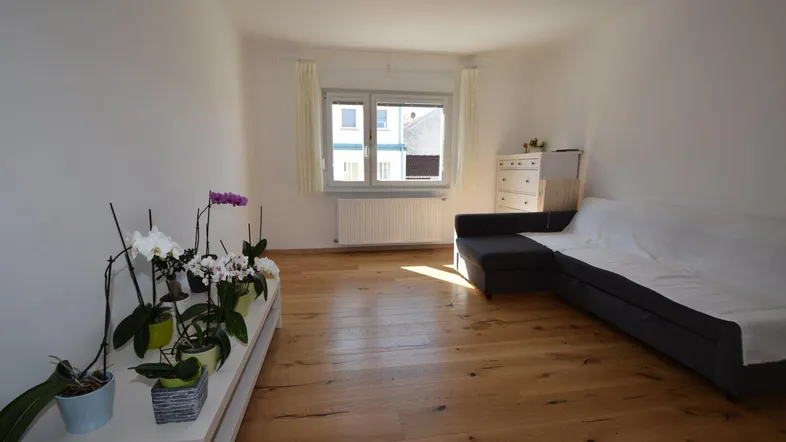 Helles Wohnzimmer mit Holzboden und einem Sofa, dekoriert mit Pflanzen am Fenster.