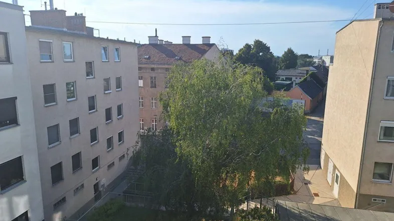 Blick aus dem Fenster auf einen begrünten Innenhof und umliegende Gebäude unter blauem Himmel.