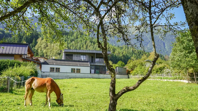 Blick Richtung Süd