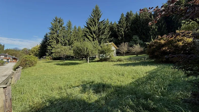 Weitläufiger Gartenbereich mit grüner Wiese, Obstbäumen und Wald im Hintergrund unter blauem Himmel.