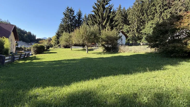Große, sonnige Rasenfläche mit jungen Bäumen und Blick auf die umliegende Natur und Wald.