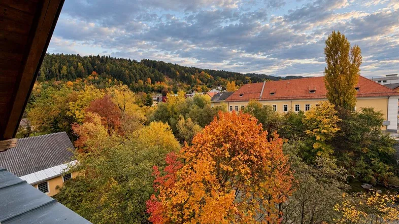 Herbstliche Landschaft mit bunten Bäumen und Gebäuden unter bewölktem Himmel, gesehen von einem Balkon.