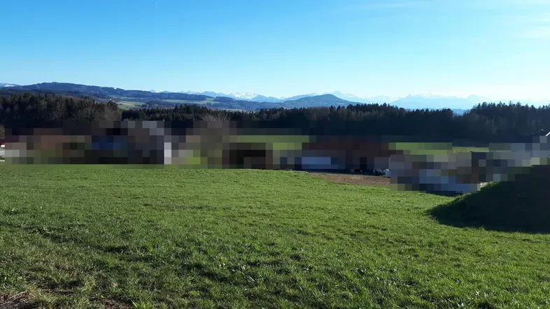 Weitläufige grüne Landschaft mit Blick auf ferne Berge unter einem klaren blauen Himmel.