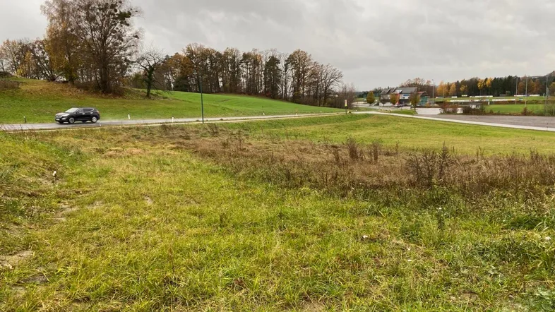 Blick auf ein grünes Grundstück mit angrenzender Straße und ländlicher Umgebung unter bewölktem Himmel.