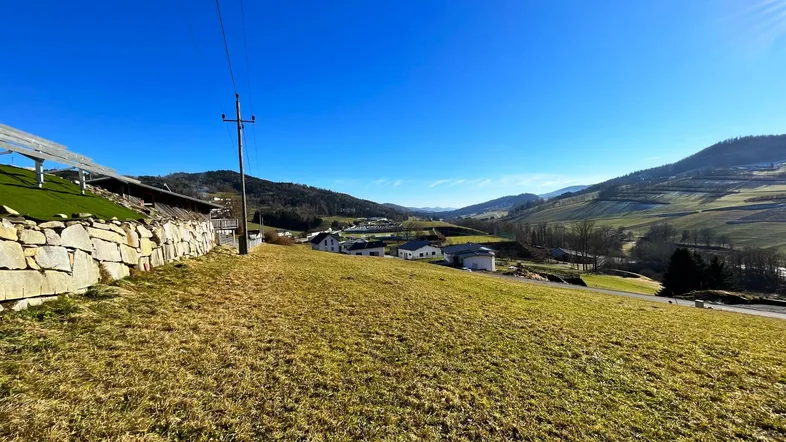 Weitläufige grüne Landschaft mit sanften Hügeln und vereinzelten Häusern unter blauem Himmel.