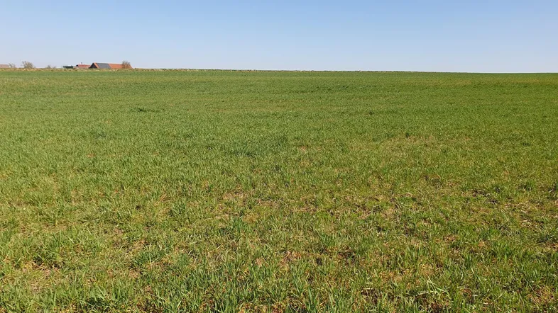 Baugrundstück Gilgenberg