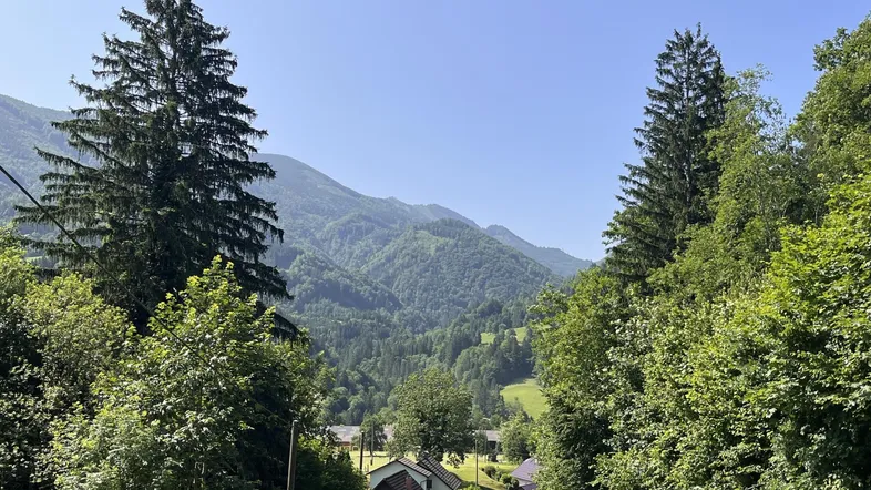 Ausblick