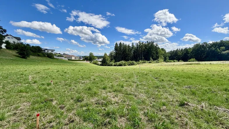 Bauland Freistadt