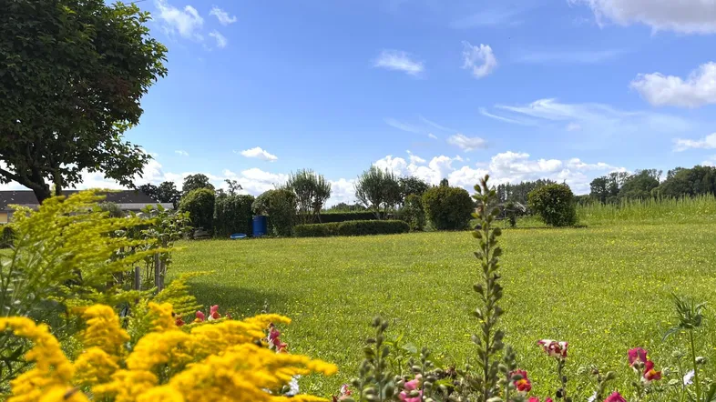Blick ins Grüne