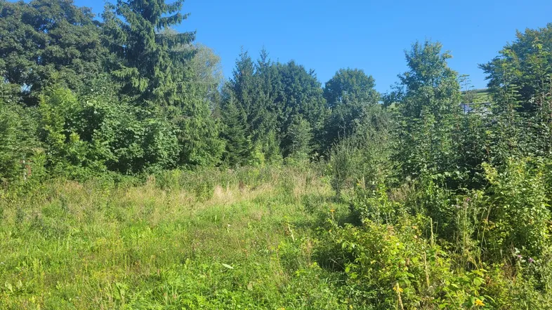 Grundstück