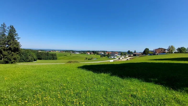 Weite grüne Wiesenlandschaft mit vereinzelten Häusern in der Ferne unter strahlend blauem Himmel.