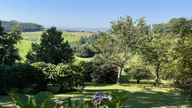 Grundstück