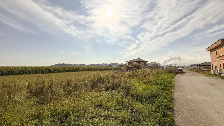 Weitläufiges Feld mit angrenzender Straße und Häusern im Hintergrund unter hellem Himmel.
