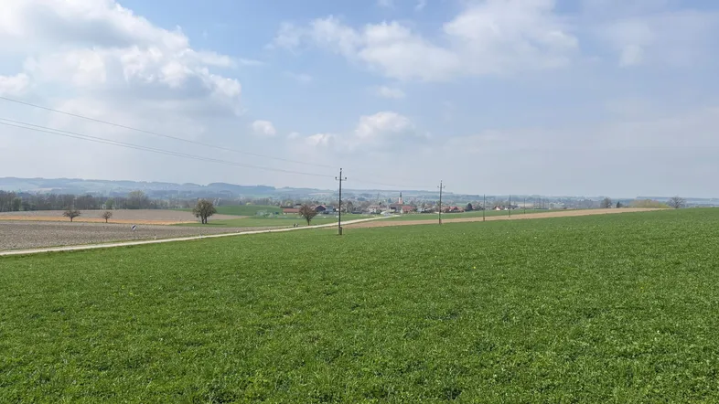 Weitläufige grüne Felder mit Blick auf eine ferne Siedlung unter blauem Himmel.