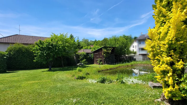 Sonniger Gartenbereich mit Teich, gepflegtem Rasen und üppiger Vegetation, ideal zur Entspannung.