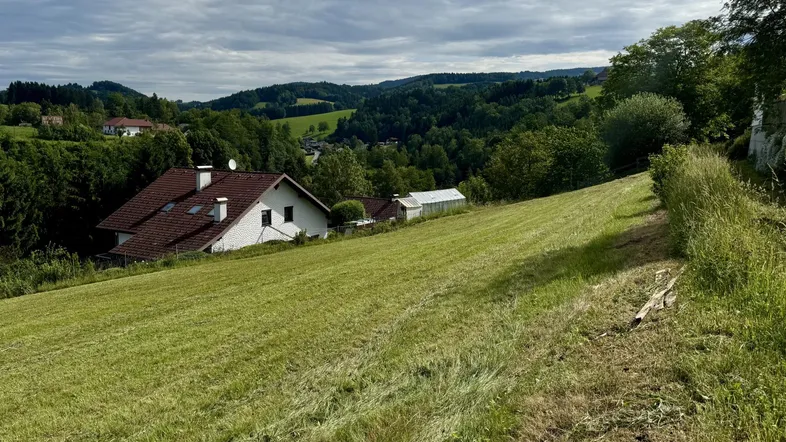 Weitläufige grüne Landschaft mit einem Haus und bewaldeten Hügeln unter bewölktem Himmel.