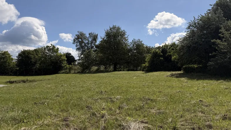 Weitläufige grüne Wiese mit Bäumen im Hintergrund unter blauem Himmel und weißen Wolken.