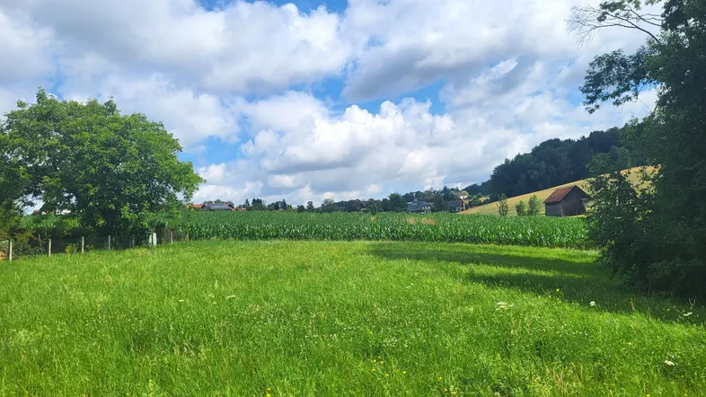 Weitläufiges grünes Feld mit Blick auf eine ländliche Siedlung und bewaldete Hügel unter blauem Himmel.