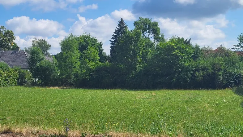 Grünes Baugrundstück mit Rasenfläche und umgebender Vegetation unter blauem Himmel.