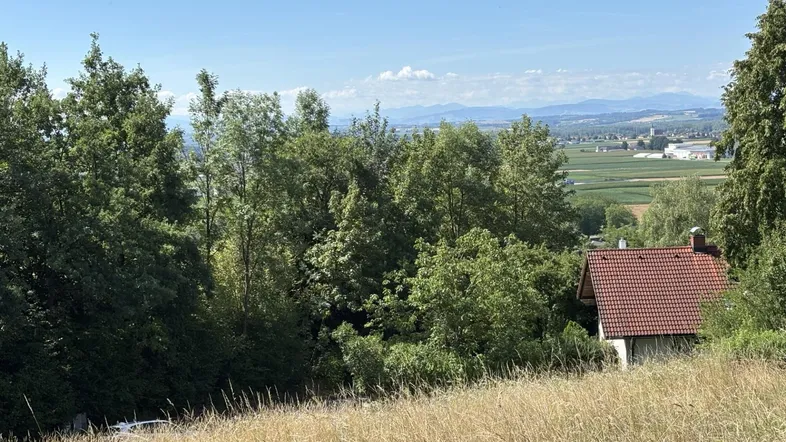 Panoramablick über eine ländliche Landschaft mit einem Haus, umgeben von Bäumen und fernen Bergen unter blauem Himmel.