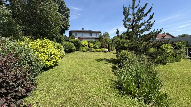 Großer, gepflegter Garten mit Rasenfläche und vielfältiger Bepflanzung unter blauem Himmel.