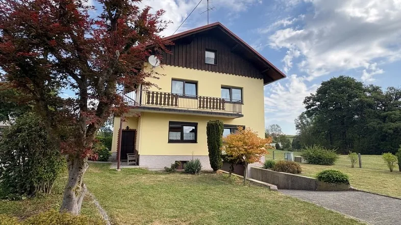 Einfamilienhaus mit gelber Fassade, Holzelementen und gepflegtem Vorgarten unter blauem Himmel.