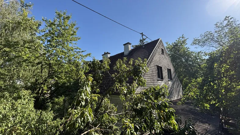 Dachansicht eines Hauses mit Satteldach, umgeben von dichtem Baumbestand unter blauem Himmel.