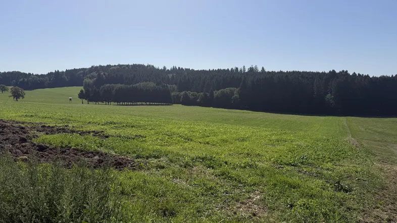 Weite grüne Felder und Wälder unter klarem blauem Himmel, typisch für die ländliche Umgebung.