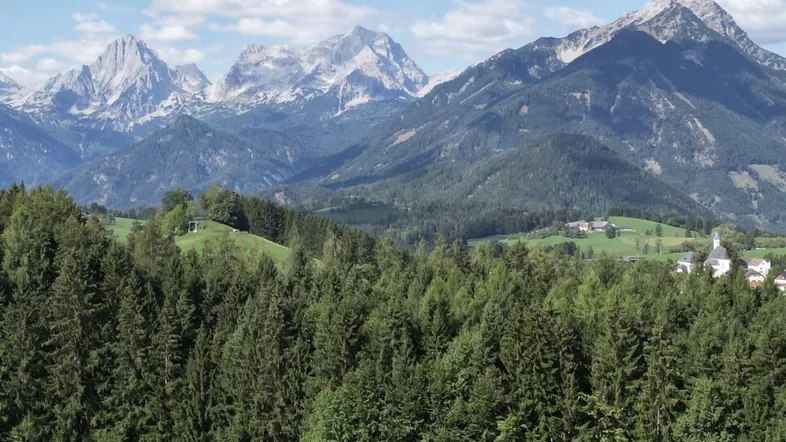 Wirtschaftswald in Ferienregion