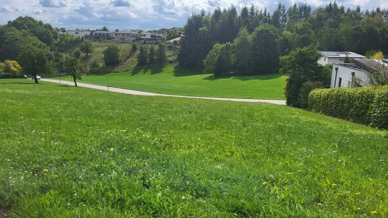 Weitläufige grüne Wiesenlandschaft mit Bäumen und Häusern im Hintergrund unter bewölktem Himmel.