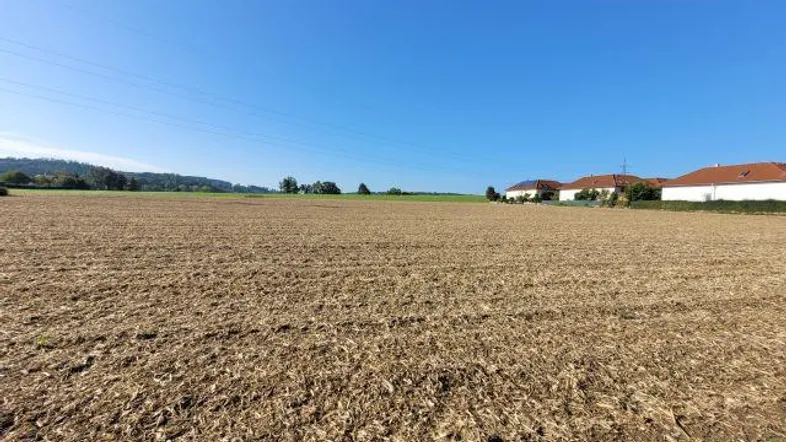 Weites Feld unter blauem Himmel mit Häusern in der Ferne und grünen Hügeln.