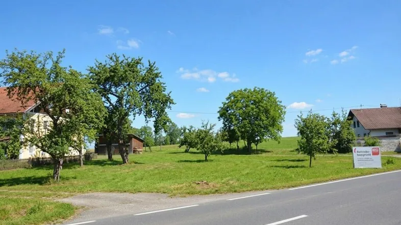 Ländliche Szenerie mit einer Straße, grünen Wiesen, Bäumen und Häusern in der Ferne unter blauem Himmel.