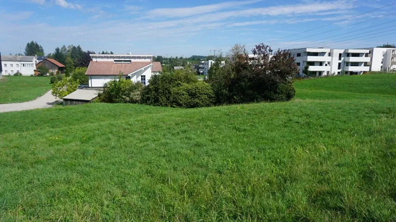 Weitläufige grüne Landschaft mit Blick auf moderne Gebäude in der Ferne unter blauem Himmel.