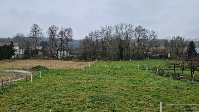 Weitläufige grüne Wiesenfläche mit Blick auf Bäume und entfernte Häuser unter bewölktem Himmel.