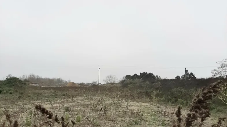 Unbebautes Grundstück mit trockener Vegetation unter bewölktem Himmel, bereit für zukünftige Entwicklung.