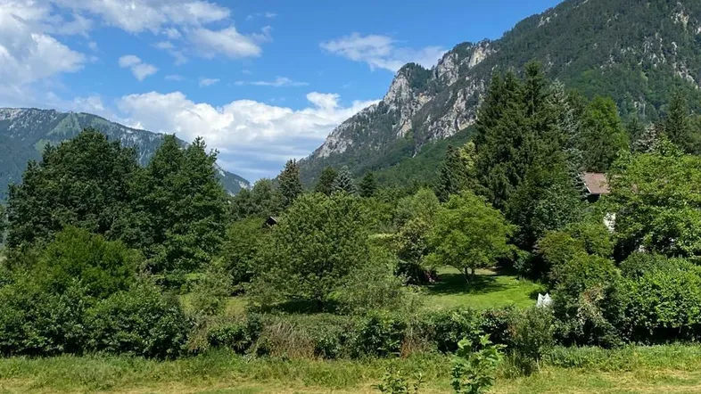 Malerische Landschaft mit grünen Wiesen, dichten Wäldern und imposanten Bergen unter blauem Himmel.