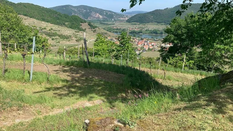 Ansicht1