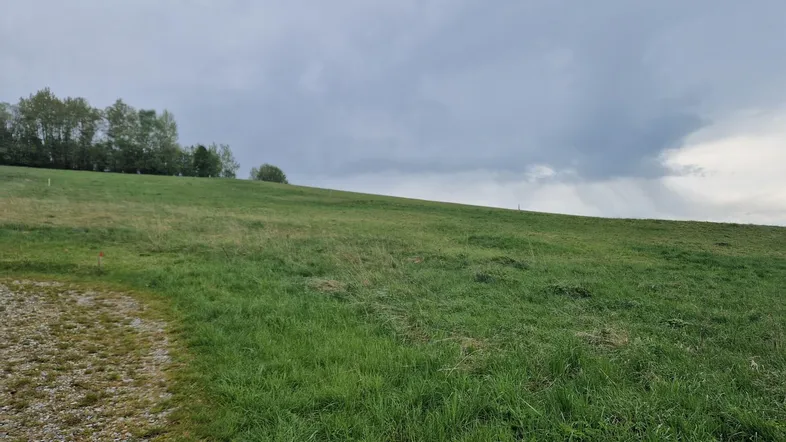 Ansicht1