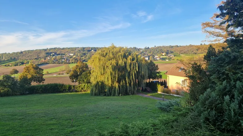 Weitläufiger Blick über grüne Felder und sanfte Hügel mit vereinzelten Häusern am Horizont.